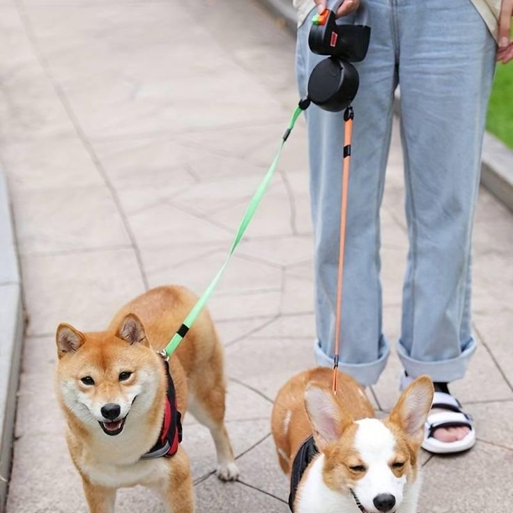 Dual Untangle Dog Leash