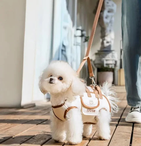 Pet Portable Crossbody Carrier Bag